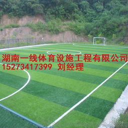 张家界人造草皮足球场施工设计要求湖南一线